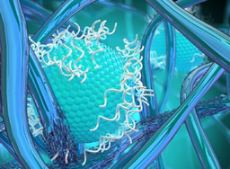 Heteromultivalent recognition originated from the "marriage" of cyclodextrin and calixarene amphiphiles