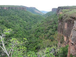 The promise of Humboldt's extraordinary scholarship 