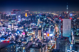 Make Business Culture Differences a Strength for Global Teams in Japan