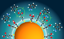 A fascinating journey through the nanoworld, from plasmonic to excitonic sensors