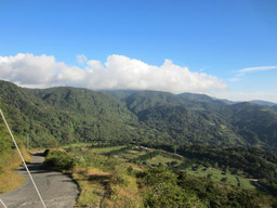 Coffee, Costa Rica, and Conservation