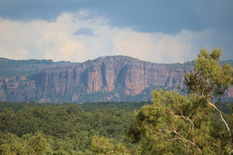 The biodiversity contribution of wilderness areas