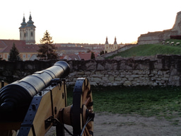 Hungarian Molecular Life Sciences Conference 2025