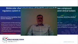 Molecular characterization of lpxACD and pmrA/B two-component  regulatory system in the colistin resistance Acinetobacter baumannii  clinical isolates 