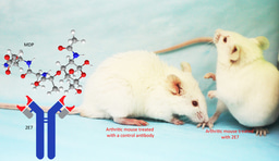 Peptidoglycan: microbiota’s messenger to host immunity 