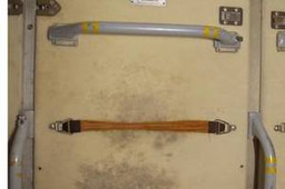 NASA, Alfred P. Sloan Foundation Award Fellowships to Study Space Station Microbes