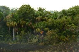 After the Paper | Speaking up for Colombia's forests and fire science 