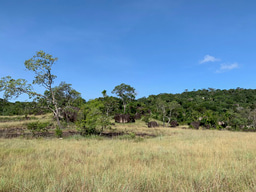 Humboldt's total character of South American natural landscapes