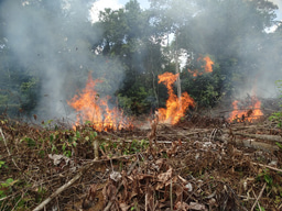 Fires inside Colombia’s National Parks 