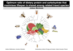 Comparative precision nutrition: is there a meal to feed them all? 