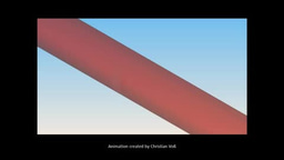 Animation of mMS in spinal cord