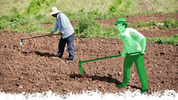 Behavior Change for Agriculture