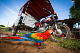 Enter today: Changing Unsustainable Trade