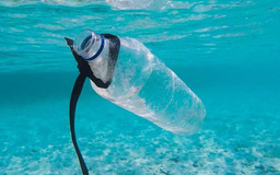 Combatting Plastics in the Ocean – A Return of Global Governance for the Blue Economy