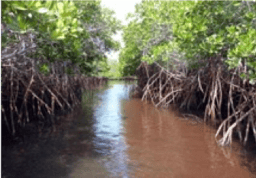 Marine Social Sciences For The Ocean We Want 