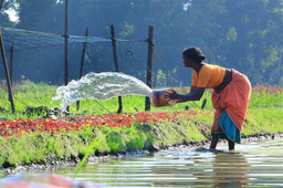 Gender Equality in Water Domain