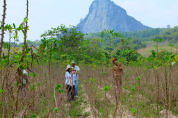 On-farm biological control helps spare land & shields biodiversity