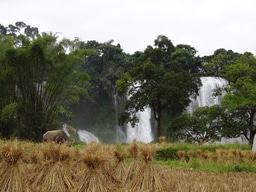 Humboldt's 'Naturgemälde' can pave the road for lasting agro-ecological transitions