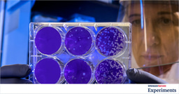Organisms and Cell lines on Springer Nature Experiments