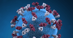Coronavirus Protocols and Methods on Springer Nature Experiments