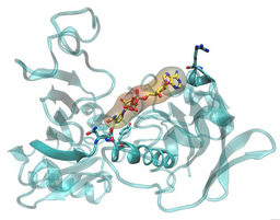 New tricks with an old method