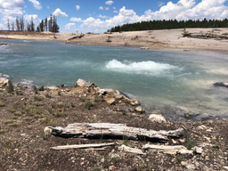 New insights into the nature of microorganisms important in the sulfur cycle on early Earth 