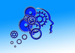 Women in Science profiles: Consuelo Guerri
