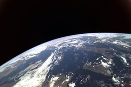 Spotlight on SciComm: Nathalie Pettorelli