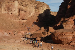 Building bridges between biologists and engineers