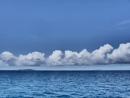 Microbes connect the earth, sea and sky