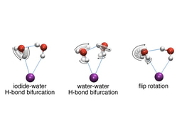 Computer simulations reveal tunneling pathways leading to hydrogen-bond  rearrangement in the iodide-dihydrate complex 