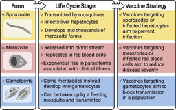 Recent progress in clinical trials of malaria vaccines