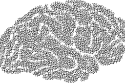 Upcoming Neuroscience and Education Conference