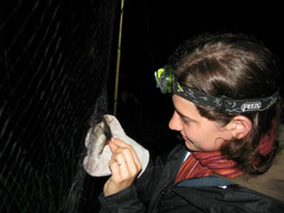 Making time for slow science: an argument for the ‘low-impact’ and messy hands on ecology