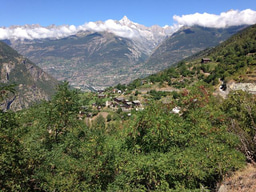 Actors’ diversity increases the resilience of social-ecological systems to global change