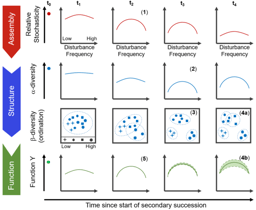 Anticipating changes in biodiversity on an increasingly disturbed planet