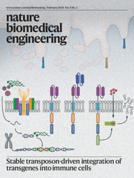 Stable transposon-driven integration of transgenes into immune cells
