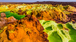 Editor’s choice collection: extremophiles