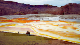 Editor’s choice collection: heavy metal pollution