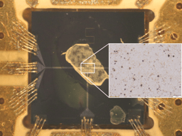 After the Paper: Towards detecting single spins, imaging spins and sensing biomaterial using a single superconducting artificial atom