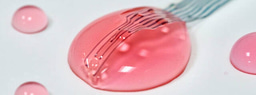 Conducting Polymer Hydrogel for All-Hydrogel Bioelectronics