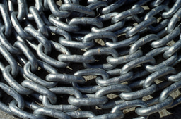 Return of the chain gang: infinite protein filaments in evolution and disease