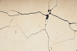 ​Cracks in the wall: the bacterial cell wall revolution