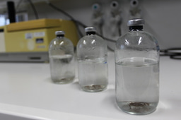 Unraveling the anaerobic oxidation of hydrocarbons in the deep sea sediments