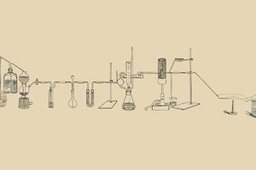 Optical… Schmoptical, the rise of the Tsieneneration X