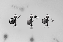 Microbial military strategy: The art of defense and counter-defense.