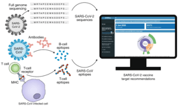 Introducing COVIDep - a platform for real-time reporting of vaccine target recommendations for SARS-CoV-2 