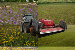 Intensification of Land Use Leads to the Same Species Everywhere