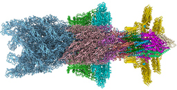 More obsolete Dawkinsian evidence for evolution 