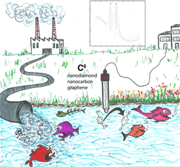 Phenolic sense and sensibility